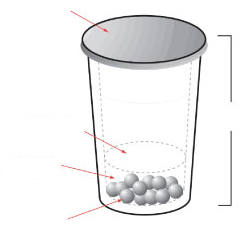 Test Cup Diagram